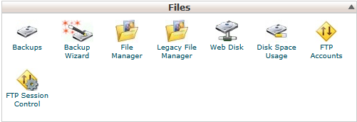 cPanel files section